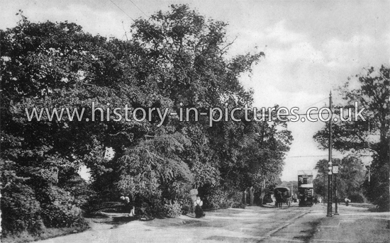 Whipps Cross Road, Leytonstone, London. c.1908.